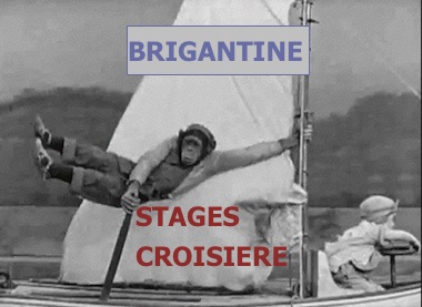 BRIGcom photos singe