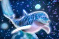 dolphincopiereduit