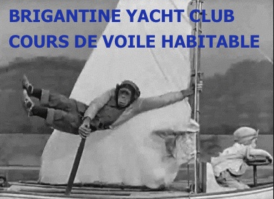 BRIGANTINE COURS singe