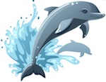 dolphin catalogue1