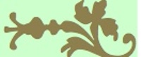 Separateur A D